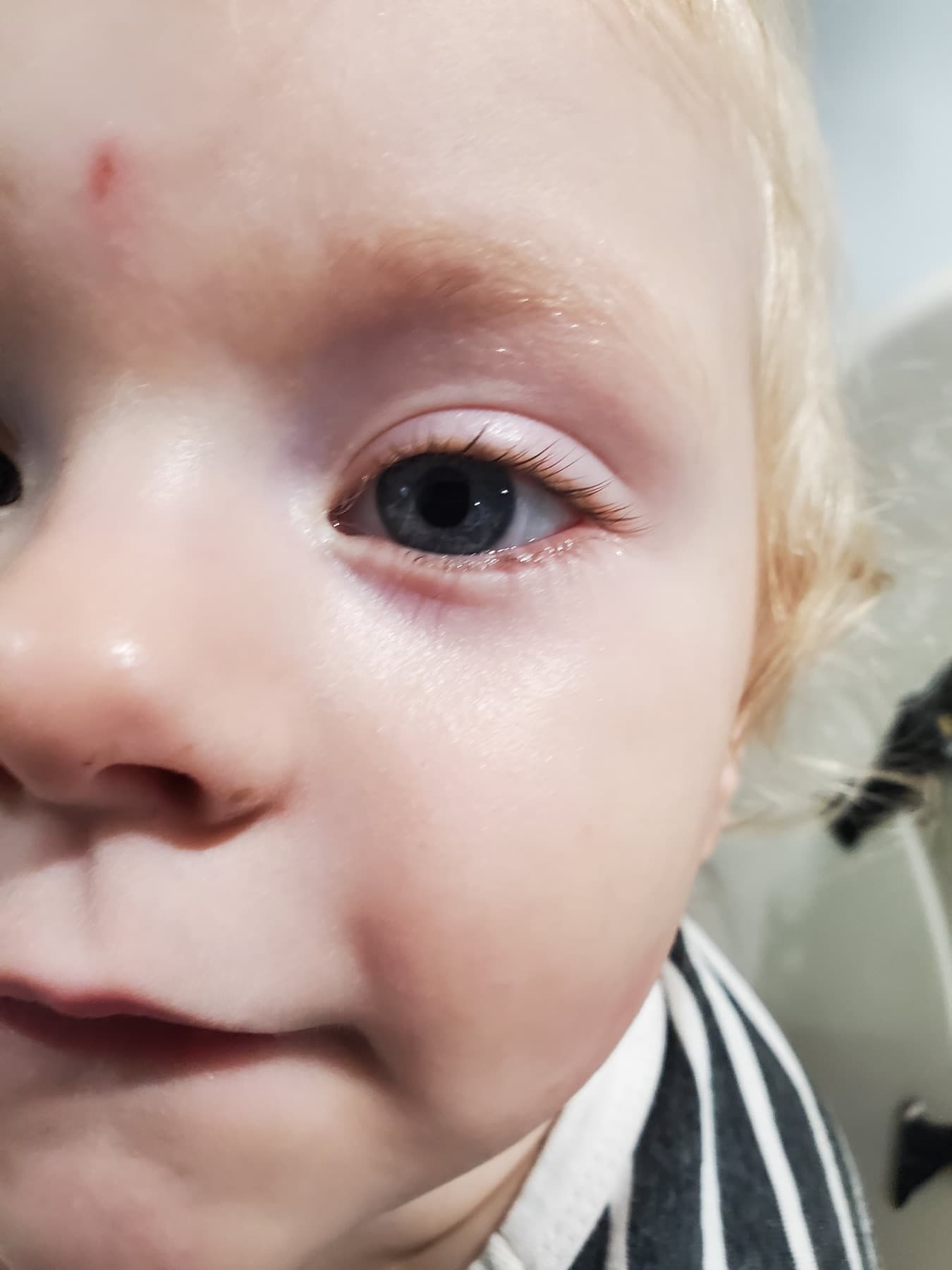 Close-up of a young child during the daycare day